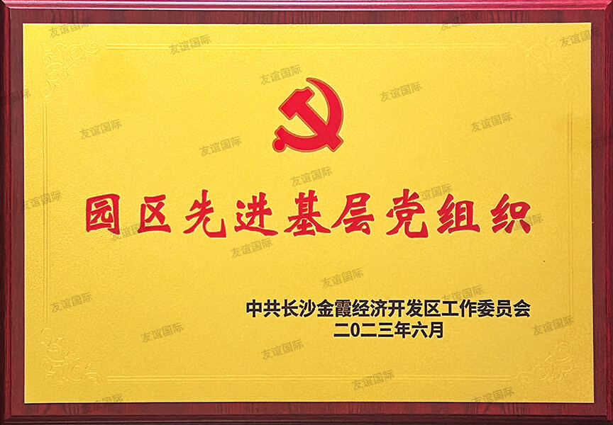 園區(qū)先進(jìn)基層黨組織